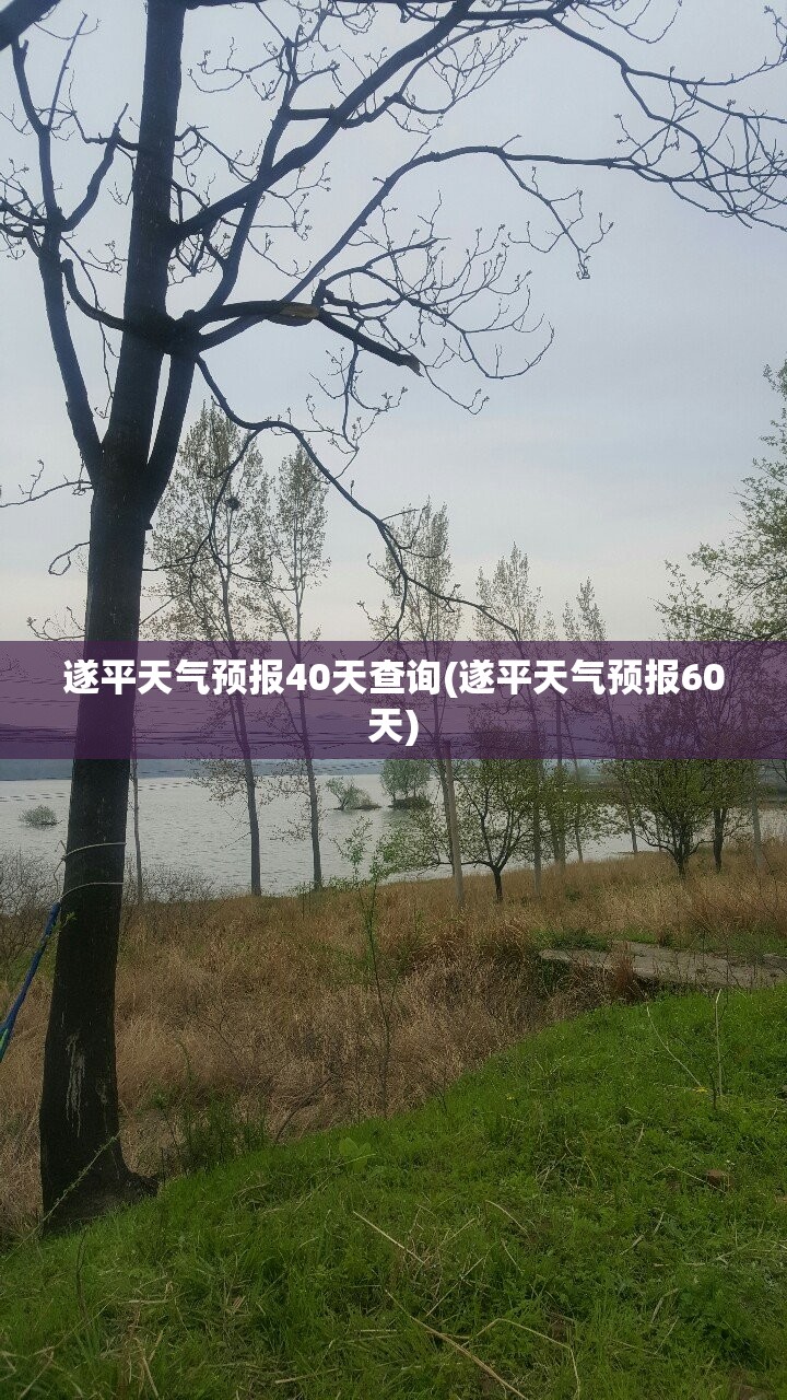 中远海控2024分红派息时间表(中远海控2021什么时候分红)