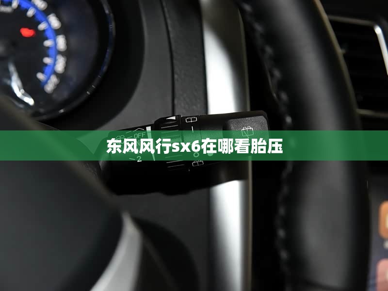 东风风行sx6在哪看胎压