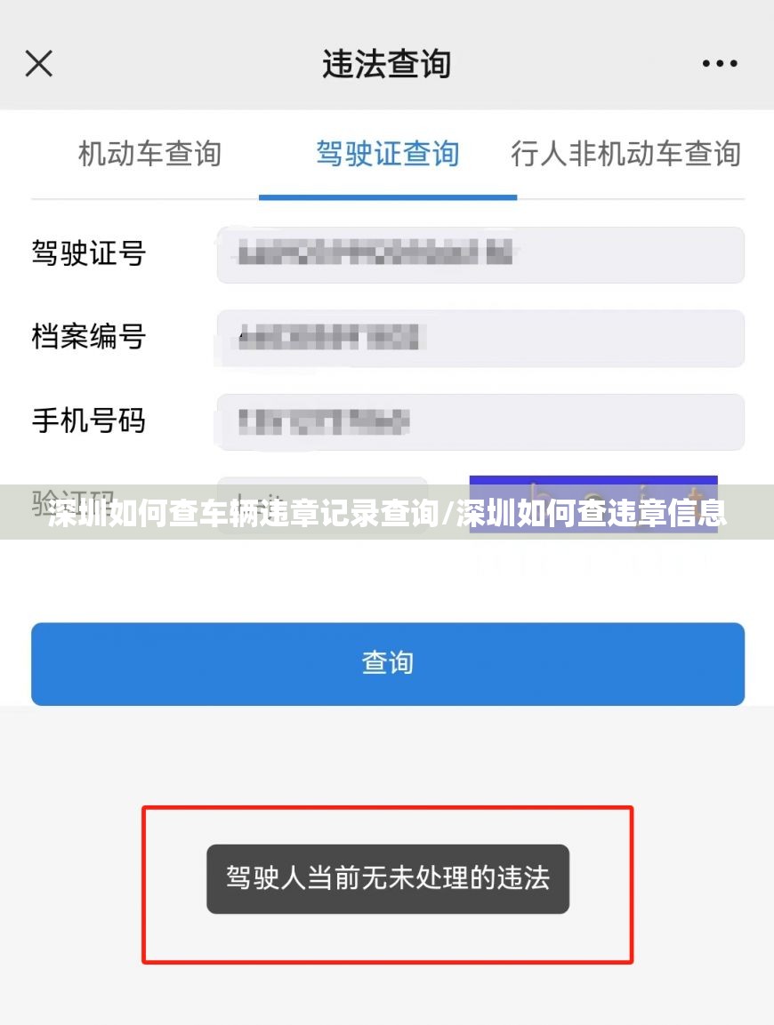 深圳如何查车辆违章记录查询/深圳如何查违章信息