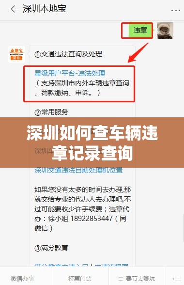 深圳如何查车辆违章记录查询/深圳如何查违章信息