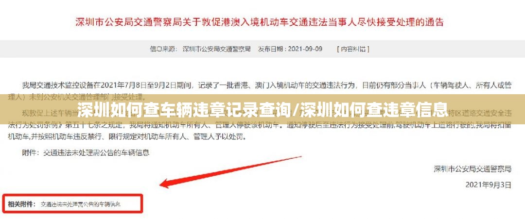 台风实时发布路径温州网/台风最新消息温州网