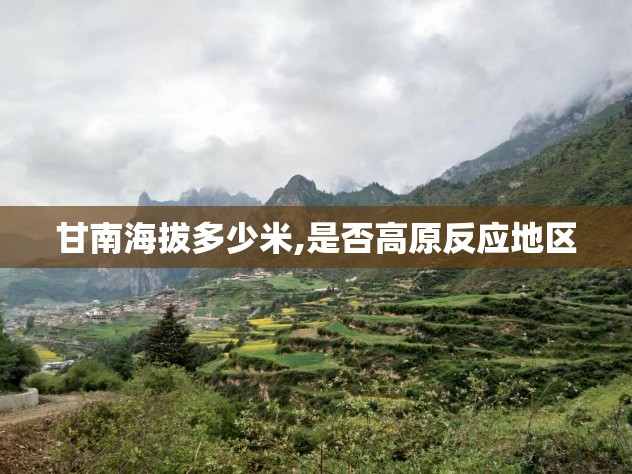 国际油价最新消息新闻