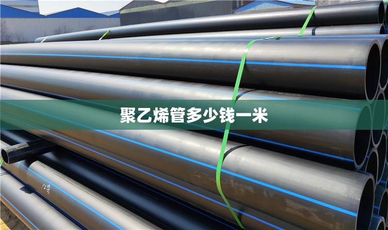 深圳如何查车辆违章记录查询/深圳如何查违章信息