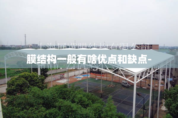 膜结构一般有啥优点和缺点- 膜结构一般有啥优点和缺点-