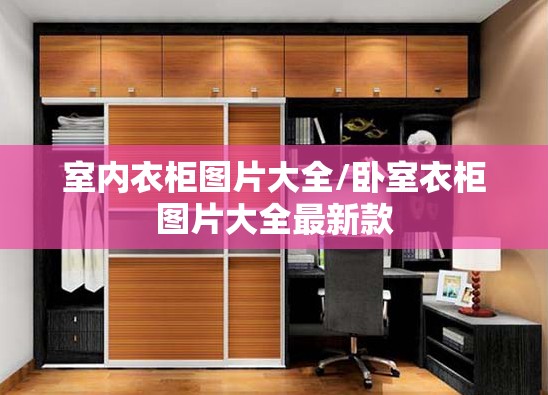 室内衣柜图片大全/卧室衣柜图片大全最新款