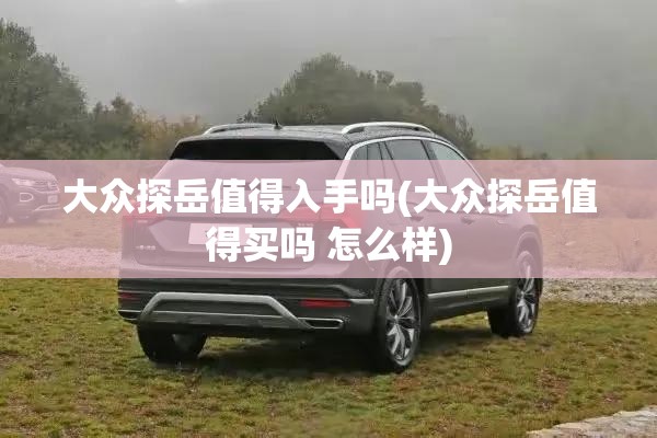 大众探岳值得入手吗(大众探岳值得买吗 怎么样) 大众探岳值得入手吗(大众探岳值得买吗 怎么样)