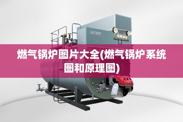 交警着装管理规定