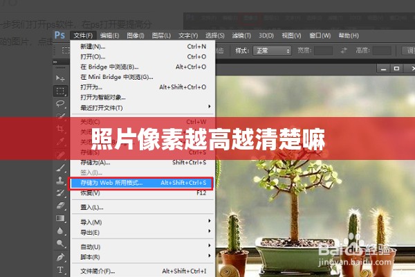 照片像素越高越清楚嘛