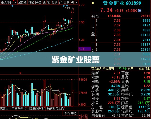 【紫金矿业股票,紫金矿业股票a股】
