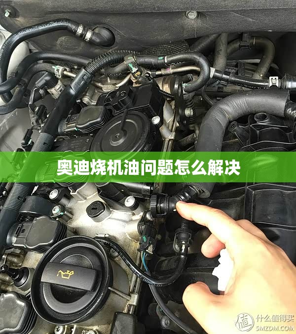 警车专用警灯警报器(警车专用警灯警报器费用)