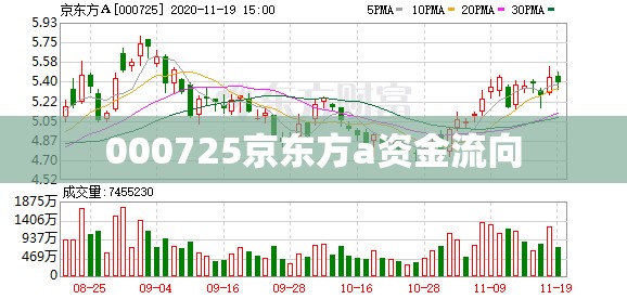 000725京东方a资金流向(000725京东方股票行情资金流向全览)