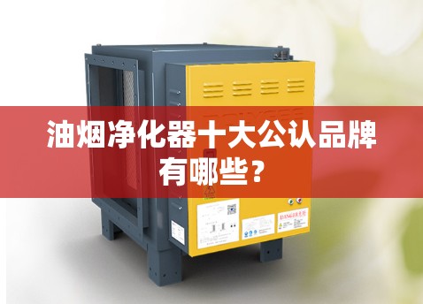 油烟净化器十大公认品牌有哪些？