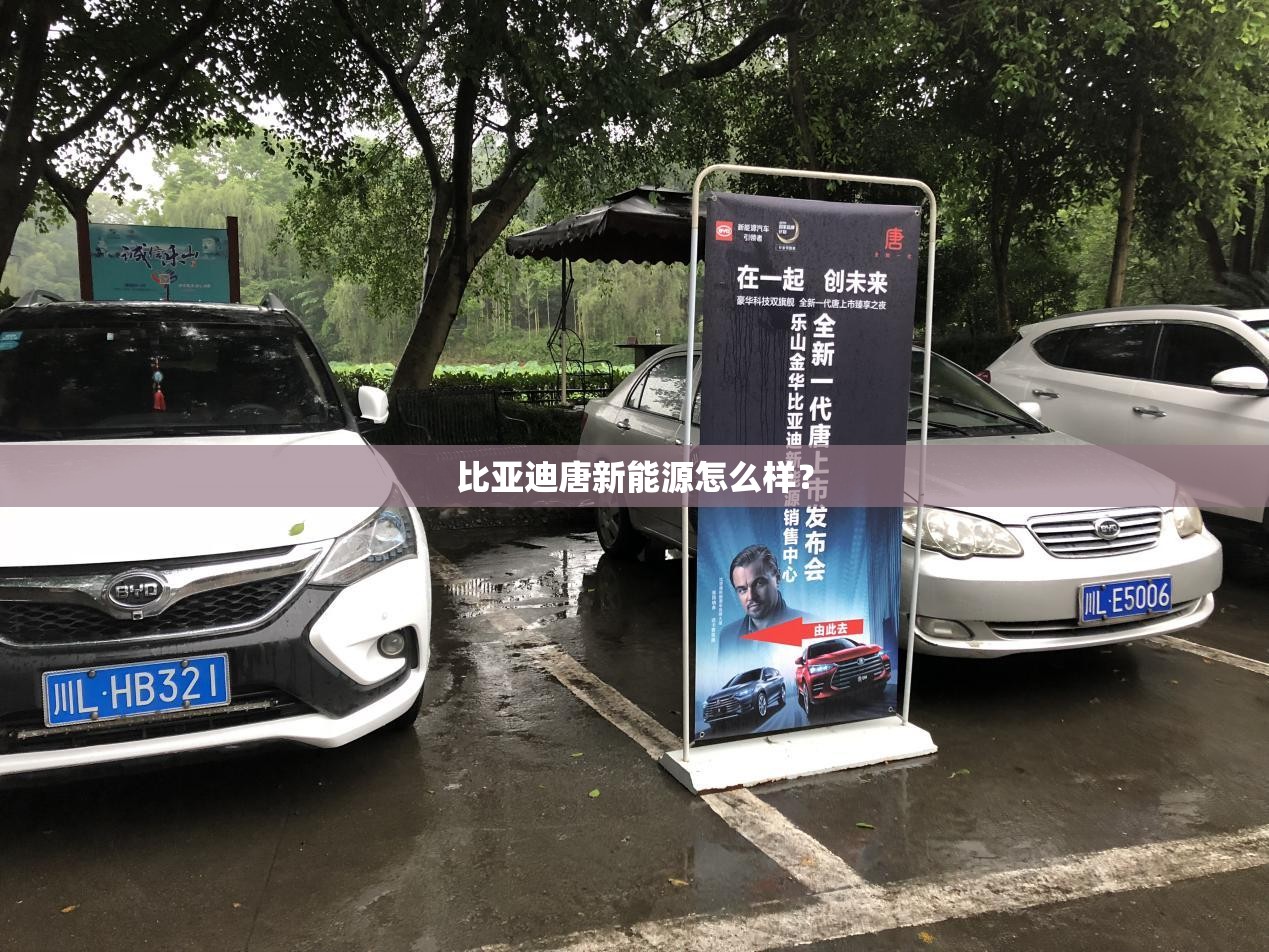 成都市最新限号规则和时间段(成都市最新限号时间几点到几点)