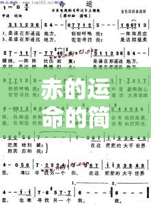 一汽大众官方客服热线