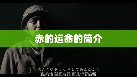 赤的运命的简介