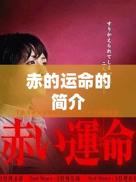 赤的运命的简介