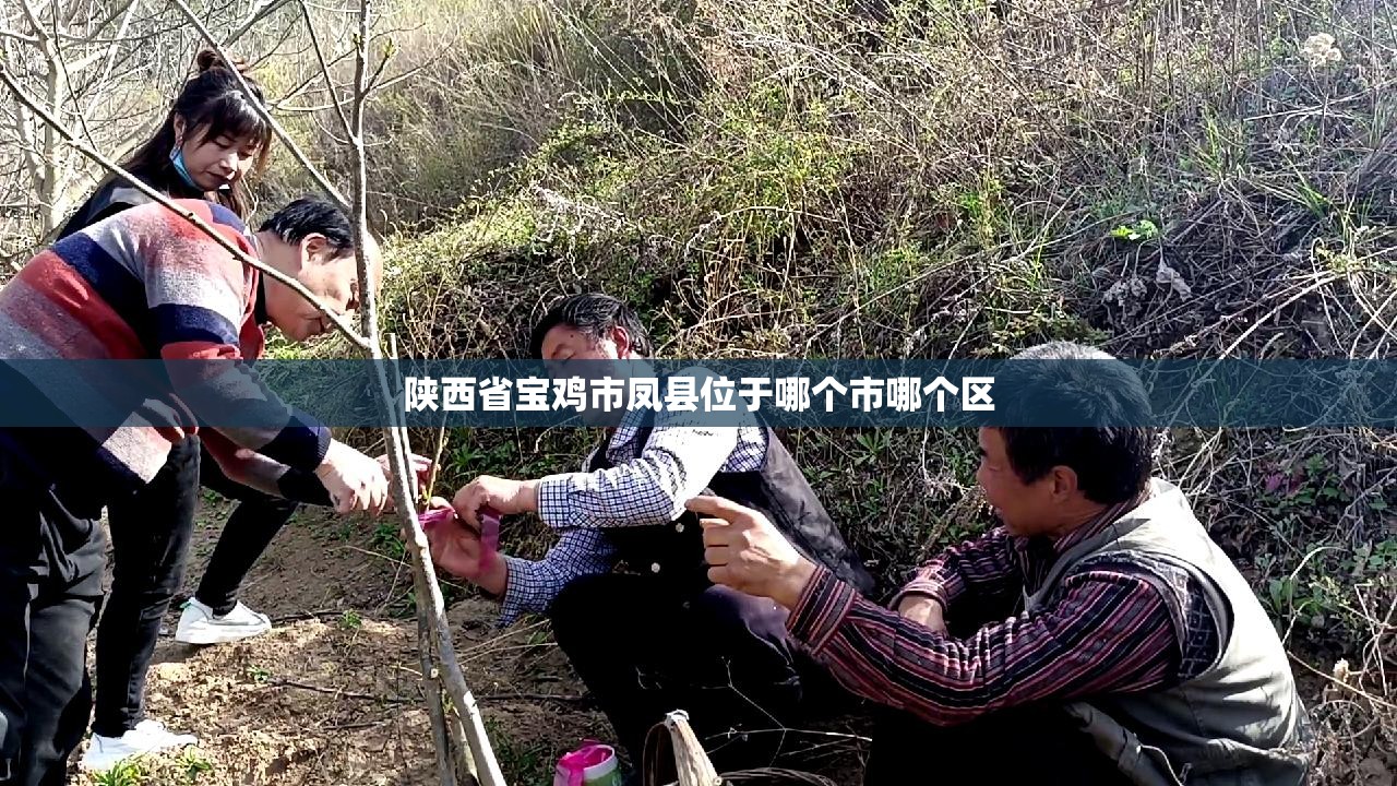 陕西省宝鸡市凤县位于哪个市哪个区 陕西省宝鸡市凤县位于哪个市哪个区