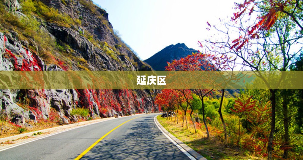 宇通7座商务车蓝牌