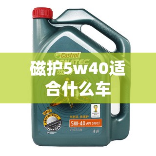 磁护5w40适合什么车