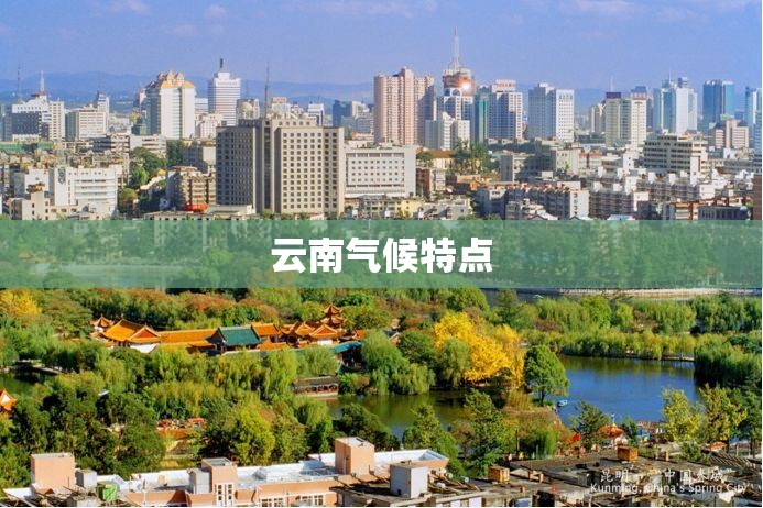 宇通7座商务车蓝牌