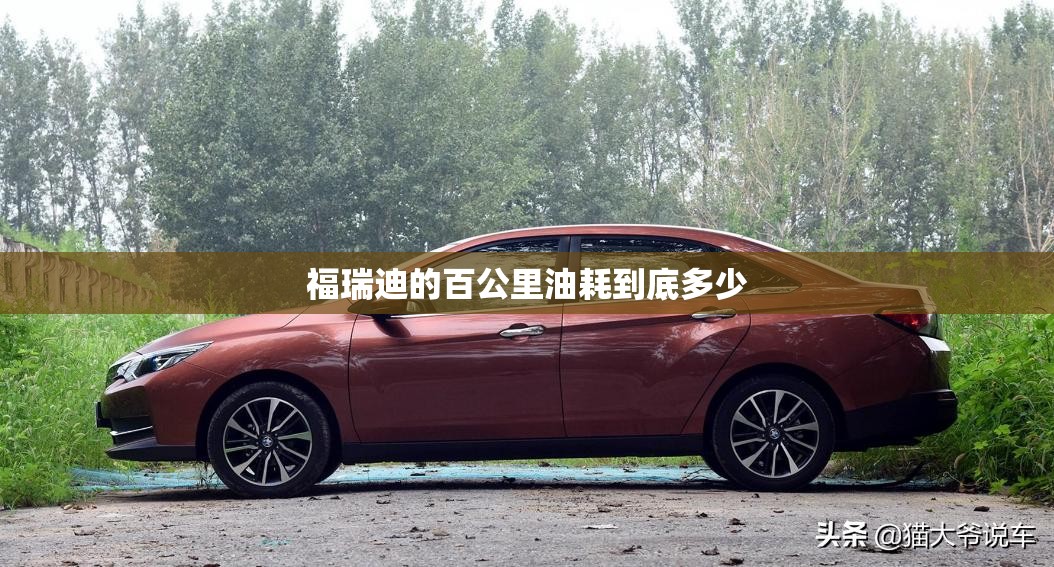 福瑞迪的百公里油耗到底多少 福瑞迪的百公里油耗到底多少