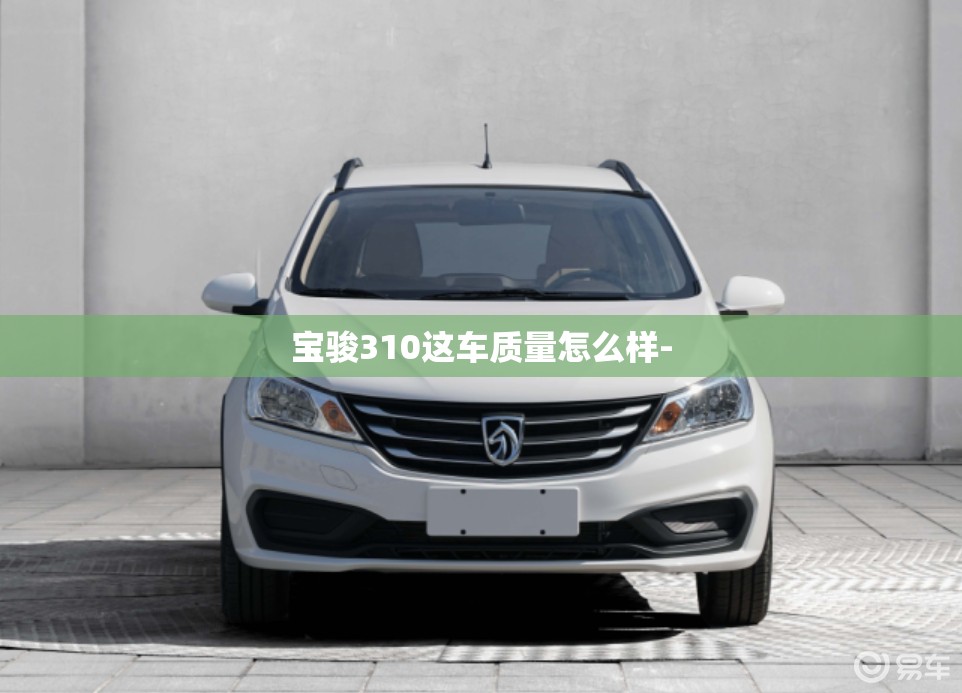 06年锐志是国几排放