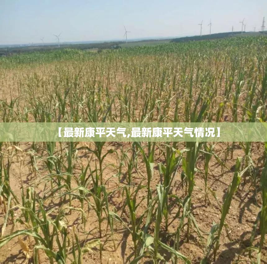 宝坻京津新城的高铁规划是什么样子呢？