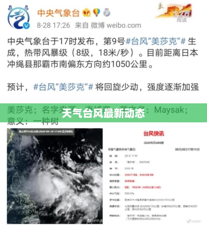 【天气台风最新动态,天气台风最新动态消息】