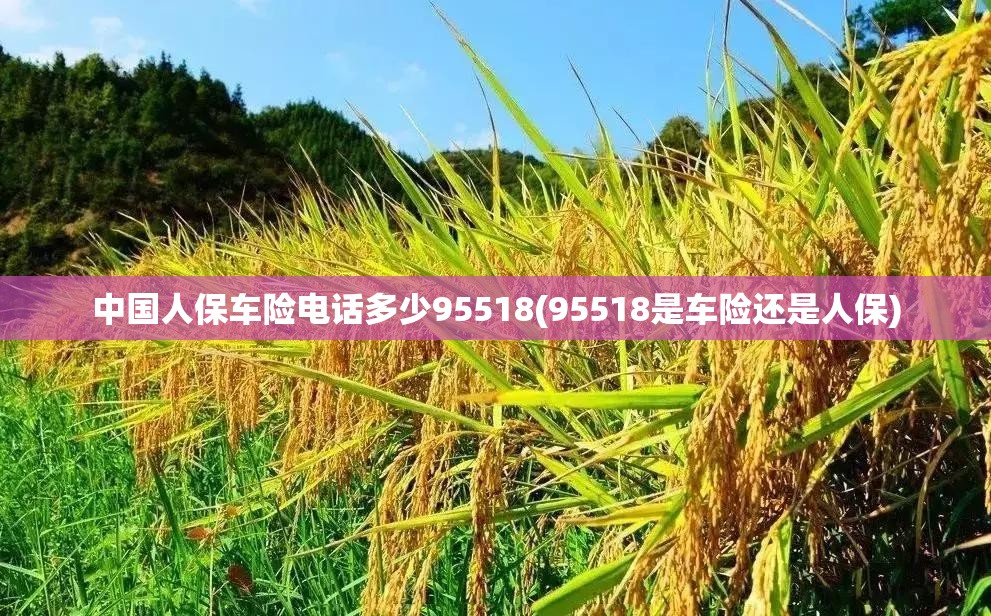 中国人保车险电话多少95518(95518是车险还是人保) 中国人保车险电话多少95518(95518是车险还是人保)