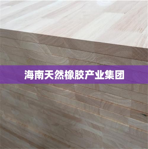 【海南天然橡胶产业集团,海南天然橡胶智慧平台】 【海南天然橡胶产业集团,海南天然橡胶智慧平台】