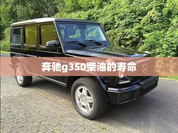 为何说大宋人是我国历史上最会做买卖的？