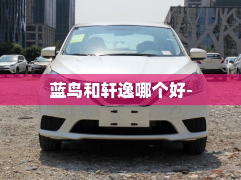 蓝鸟和轩逸哪个好- 蓝鸟和轩逸哪个好-