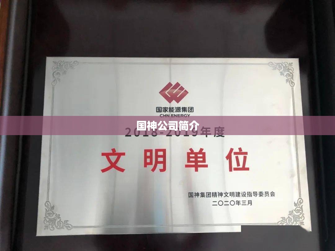 国神公司简介