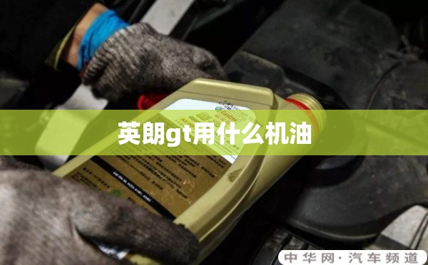 蓝鸟和轩逸哪个好-