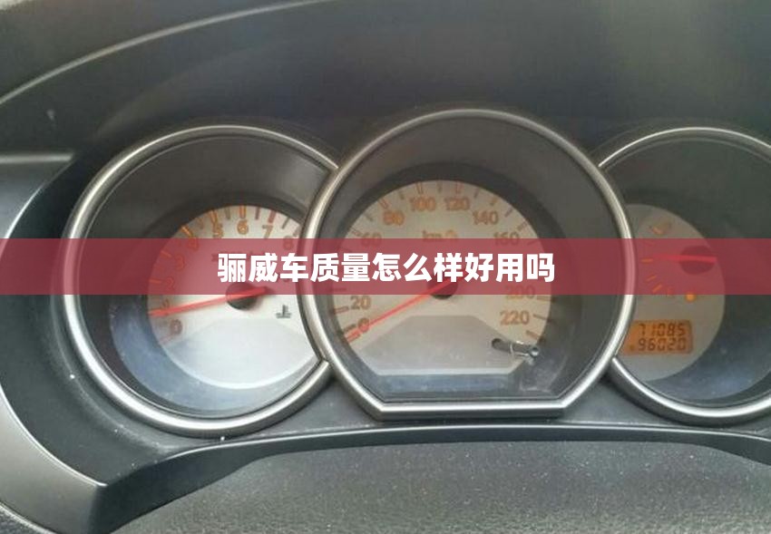 骊威车质量怎么样好用吗/骊威车怎么样?