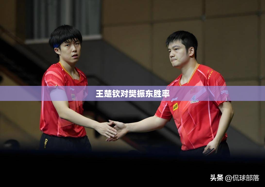 今天保定限什么号