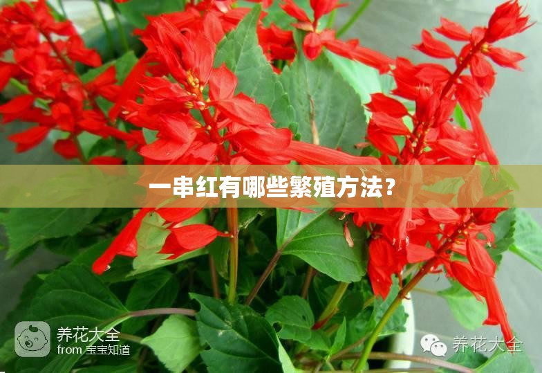 风台最新(风台最新情况)