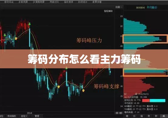 筹码分布怎么看主力筹码(看主力筹码最简单方法)