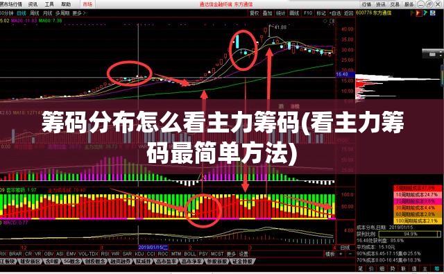 平乡天气平乡天气预报48小时