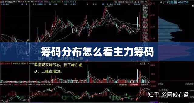 筹码分布怎么看主力筹码(看主力筹码最简单方法)