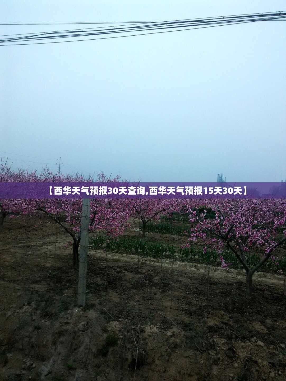 风台最新(风台最新情况)