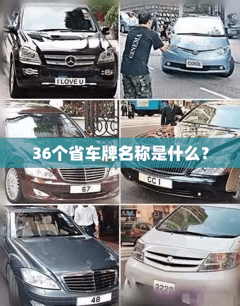 骊威车质量怎么样好用吗/骊威车怎么样?