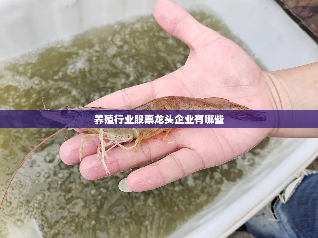 养殖行业股票龙头企业有哪些