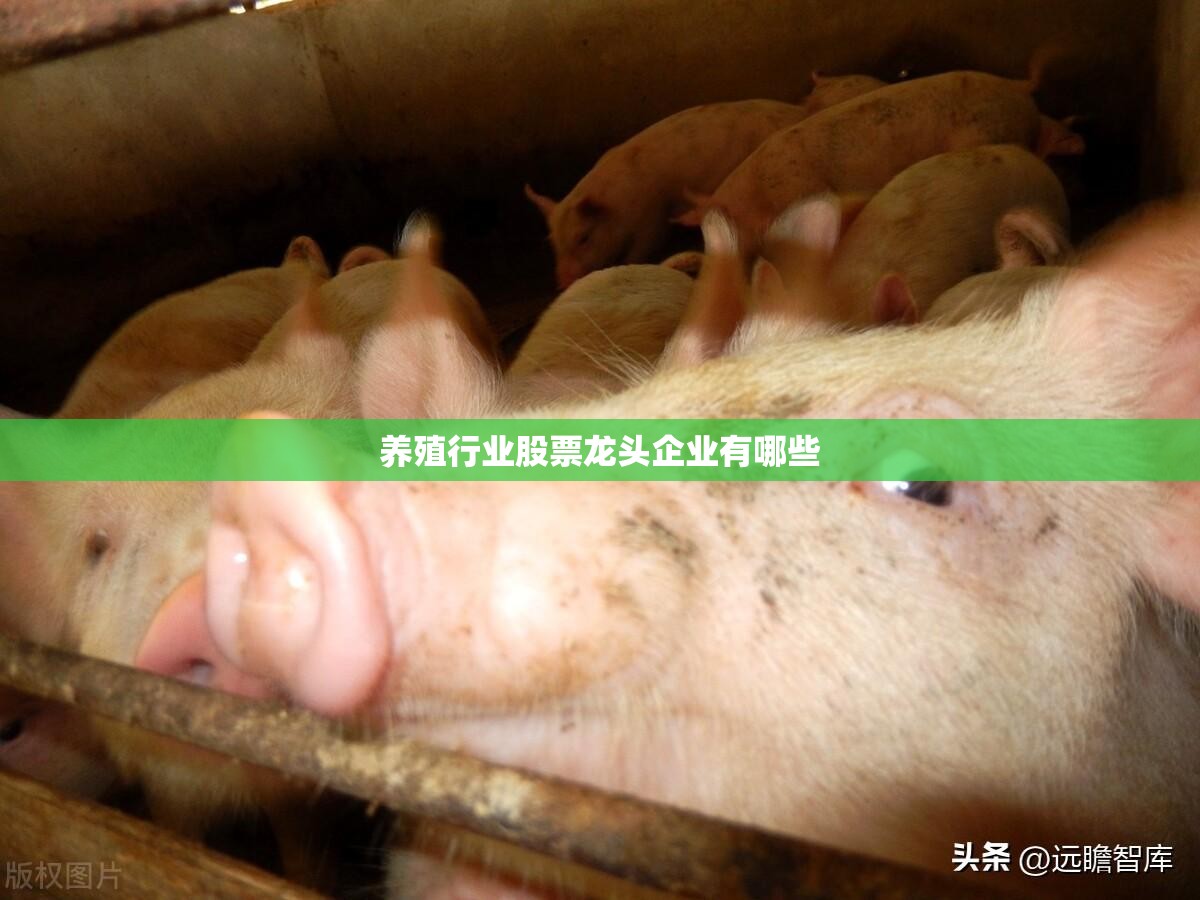 商务7座suv有哪些车型