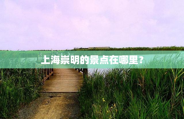 上海崇明的景点在哪里? 上海崇明的景点在哪里?