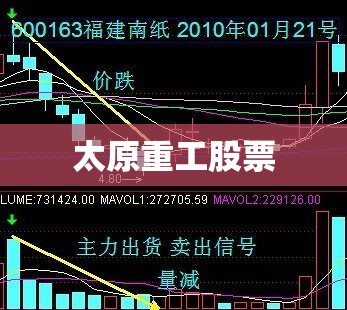 正午阳光旗下导演名单