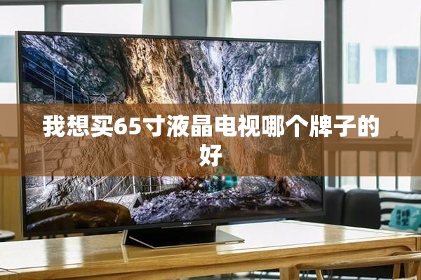 我想买65寸液晶电视哪个牌子的好