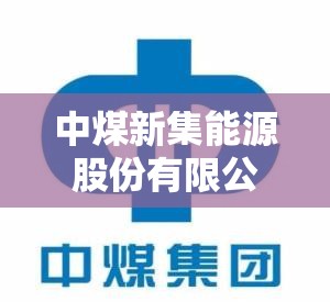正午阳光旗下导演名单