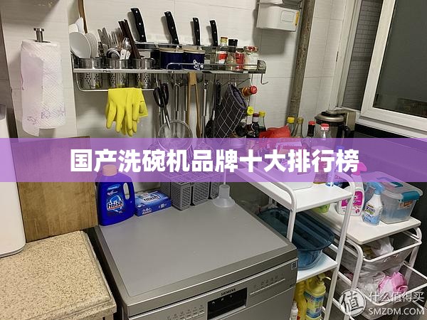 【国产洗碗机品牌前十排名榜,国产洗碗机排名前十】