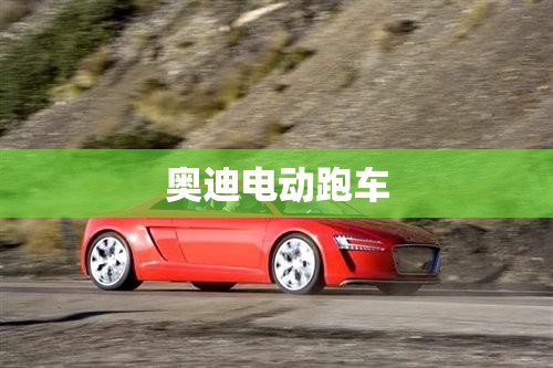 上海国拍中心官方网站首页(上海国拍网官方网站电话)